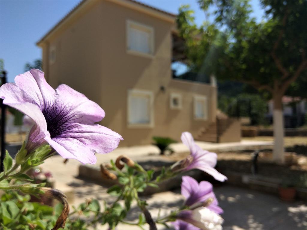 Apartamento Eirini- Ioanna Sami  Exterior foto